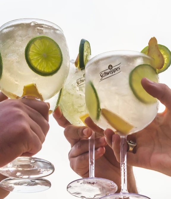 Schweppes Gin Fizz