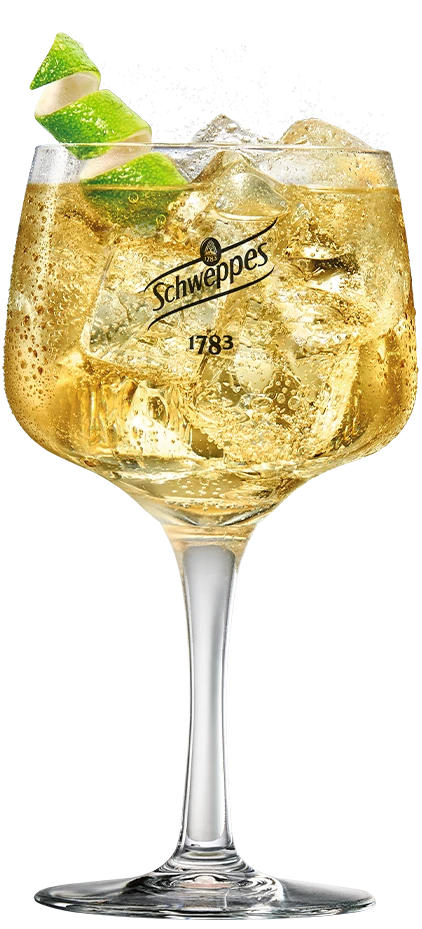 tonica-ginger-ale-jengibre-perfect-serve.webp